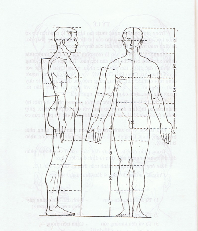 Tỉ Lệ Người Trong Hình Họa